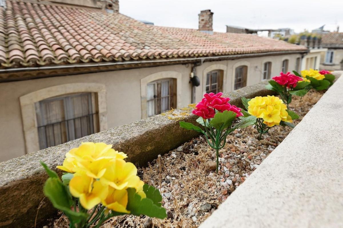 Le Mistral ~ Cite De Carcassonne ~ Hypercentre Apartment Ngoại thất bức ảnh